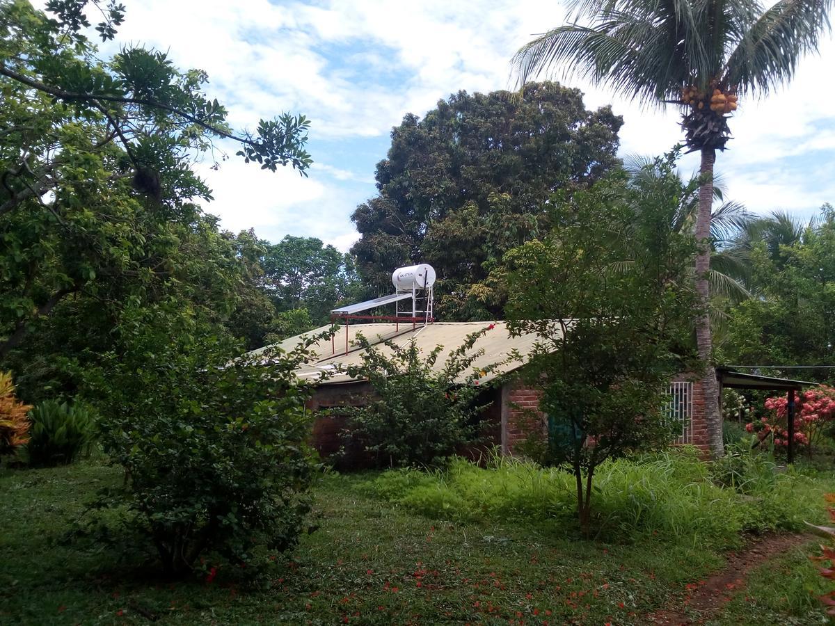 Eco-Lodge El Porvenir. Santa Cruz 외부 사진