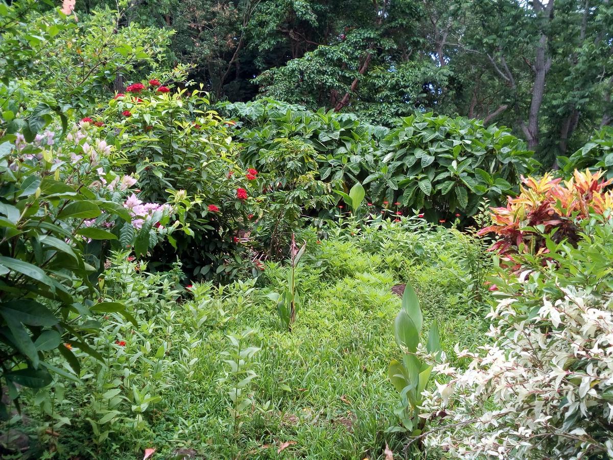 Eco-Lodge El Porvenir. Santa Cruz 외부 사진